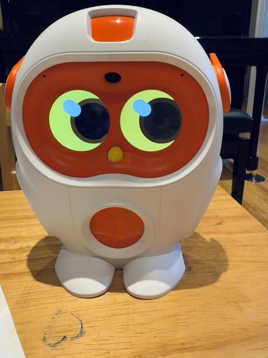 Ondersteunend beeld bij het artikel